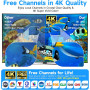 Антена HD для T2/Smart TV кімнатна/вулична EUGIEM 4-12FH