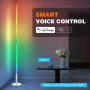 Умный торшер Hzitcigm WiFi RGBCW с поддержкой Alexa/Google Home