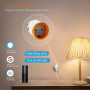 Умная розетка ZigBee с энергомониторингом и голосовым управлением