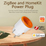 Умная розетка ZigBee с энергомониторингом и голосовым управлением