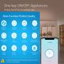 Умная розетка ZigBee с энергомониторингом и голосовым управлением