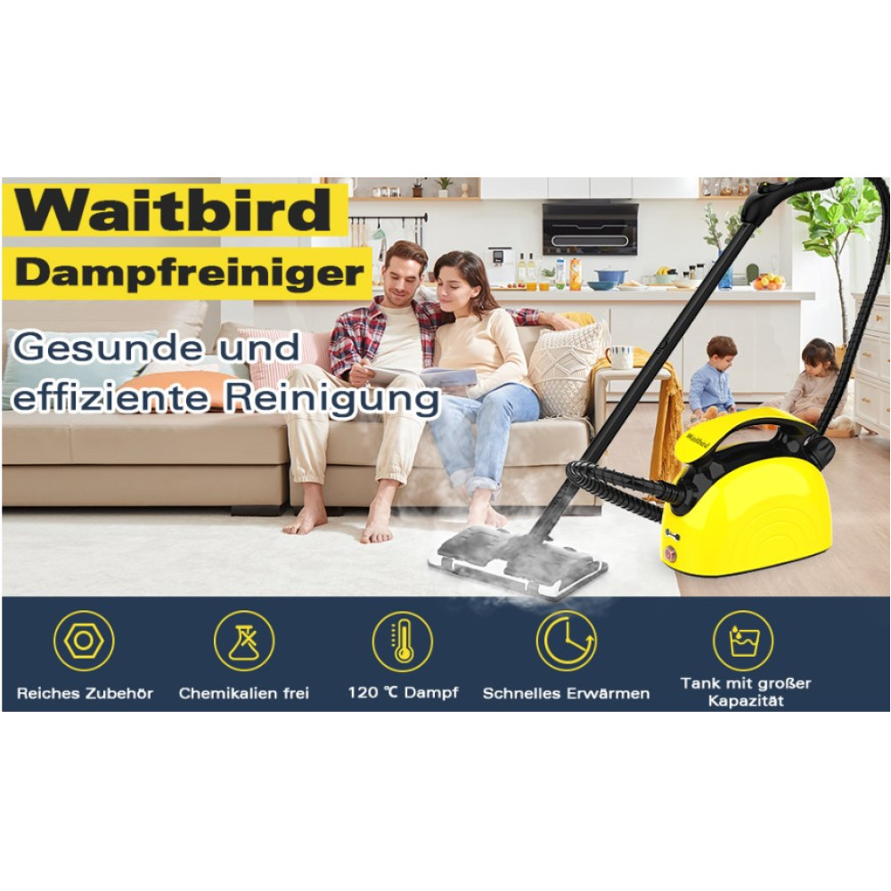 Паровой очиститель Waitbird 21 в 1 для дома мебели напольной плитки авто