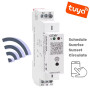 Розумне реле контролю часу GEYA GRT8-WS WiFi Tuya 16А AC DC 110-240V