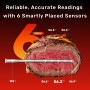Термометр для мяса Meatmeet Pro с Wi-Fi и Bluetooth, IP67