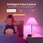 Смарт лампа Fitop WiFi E27 RGB и белый свет 9 Вт управление голосом 2 шт