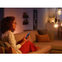 Умная светодиодная LED лампа в ретро-стиле Philips Hue White E27 Filament G93