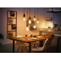 Умная светодиодная LED лампа в ретро-стиле Philips Hue White E27 Filament G93