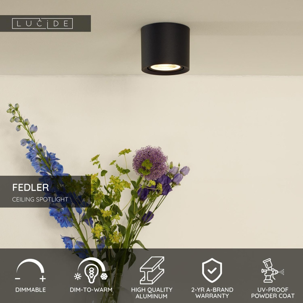 Потолочный LED-спот Lucide 12 см в диаметре Dim to Warm GU10
