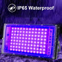 Набор из 2 ультрафиолетовых LED прожекторов Eleganted 100 Вт IP65