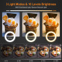 Кольцевая LED лампа Evershop 10 дюймов с держателем для телефона и штативом