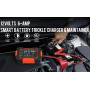 Зарядное устройство NEXPEAK NC101 для автомобильных аккумуляторов 12V 6A
