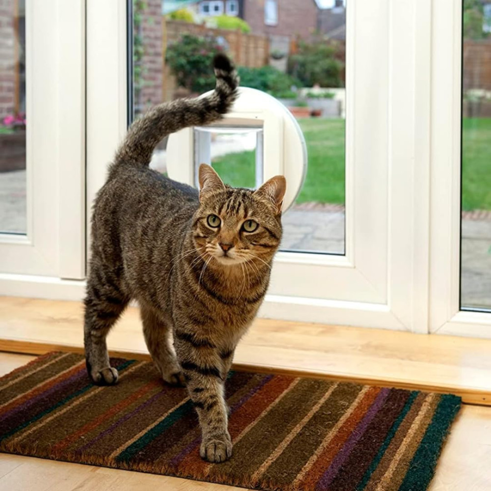 Дверца для кошек SureFlap Microchip Cat Flap SUR001 БЕЗ МИКРОЧИПОВ