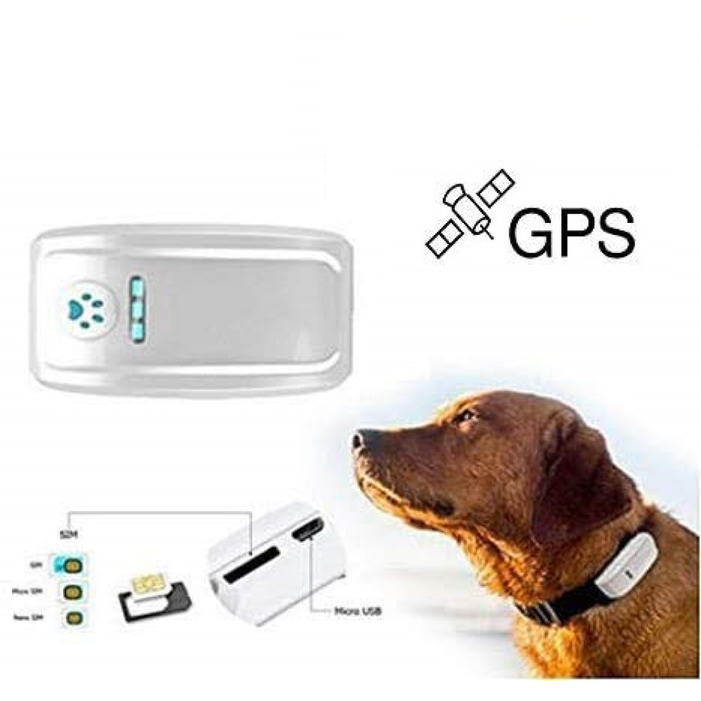 GPS-трекер для домашних животных Boutique GSM/GPS без ошейника