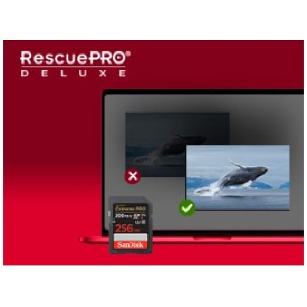 Карта пам’яті SanDisk Extreme PRO SDXC 256GB UHS-I (SDSDXXD-256G-GN4IN)