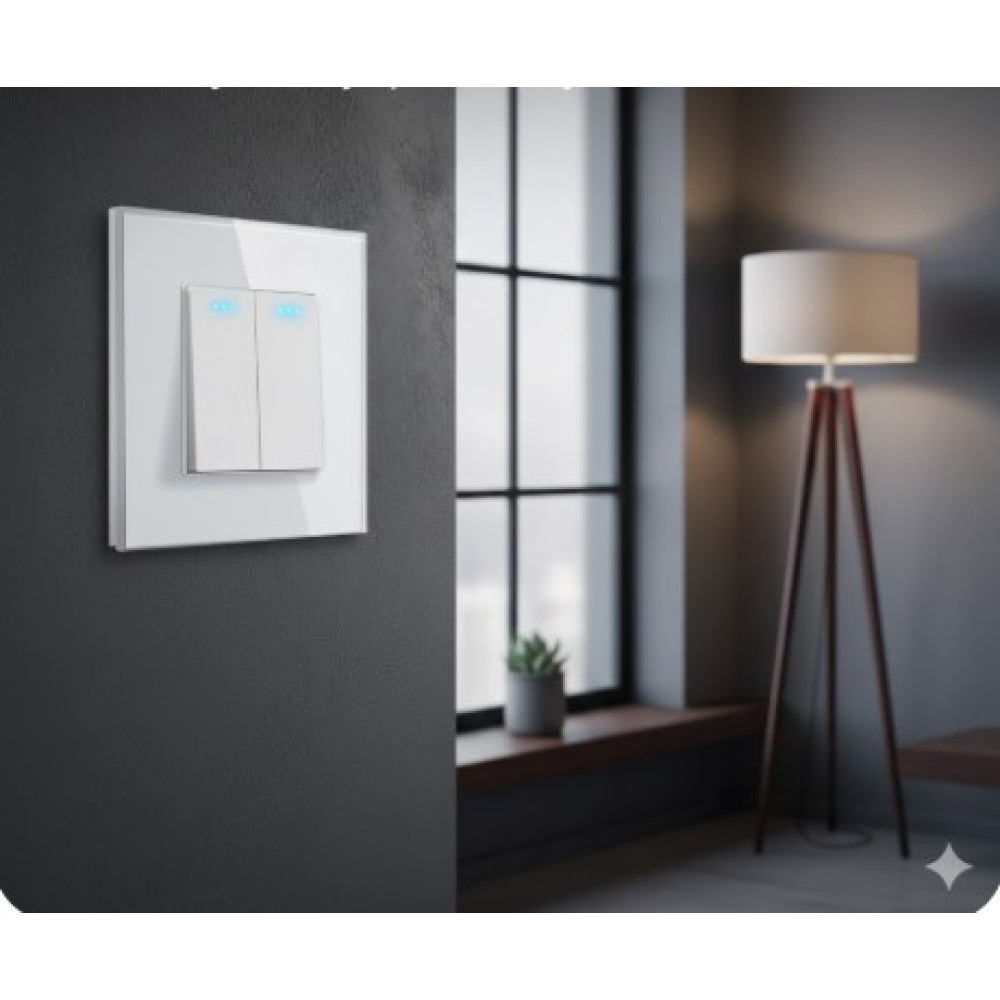 Настенный двойной выключатель BSEED 10А с LED подсветкой и стеклянной панелью