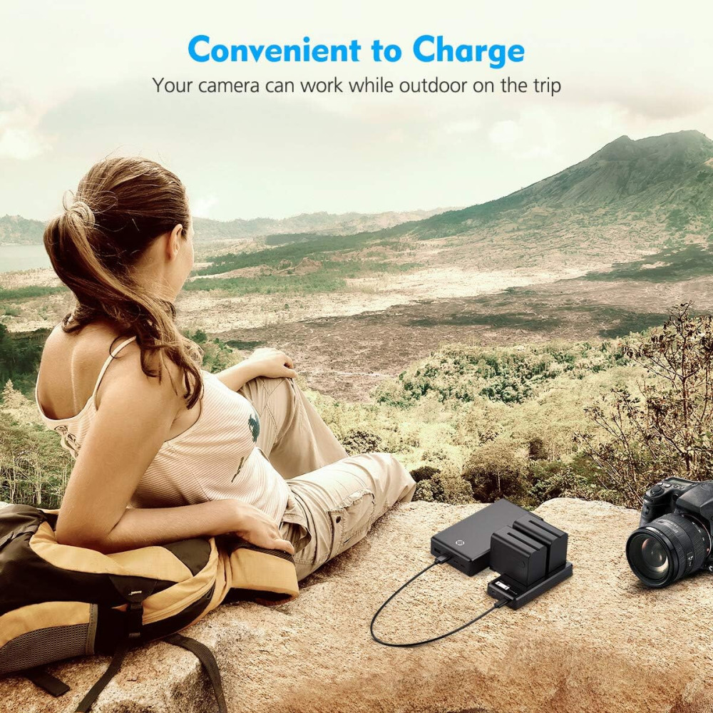 Аккумуляторы и зарядное устройство для Powerextra для Sony NP-F970 Sony NP-F960 2 X 8800 мАч