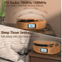 Портативный CD-плеер и Bluetooth колонка FELEMAN 15W FM-радио AUX/USB