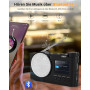Портативный DAB+ радиоприемник Rychi DAB01 Bluetooth 5,1 FM USB AUX 2,4"