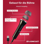 Пара універсальних USB мікрофонів Lioncast 3 м кабель