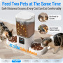 Автоматическая кормушка Frienhund (5G/Wi-Fi) для кошек