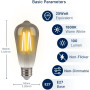 Светодиодные лампы FLSNT Edison E27 ST58 4 Вт, 1800K (Комплект 4шт)