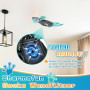 Игрушка-геккон Charmofun Gecko Wall Racer на радиоуправлении