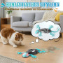 Игрушка-геккон Charmofun Gecko Wall Racer на радиоуправлении