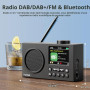 Портативное цифровое радио Mycket DAB/DAB+/FM с Bluetooth 5.0, цветным дисплеем и аккумулятором