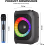 Караоке-машина Ankuka портативна Bluetooth-колонка з двома мікрофонами
